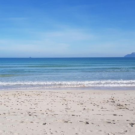 Ideal Property Mallorca - Sa Vinya Vella Alcúdia Exteriér fotografie