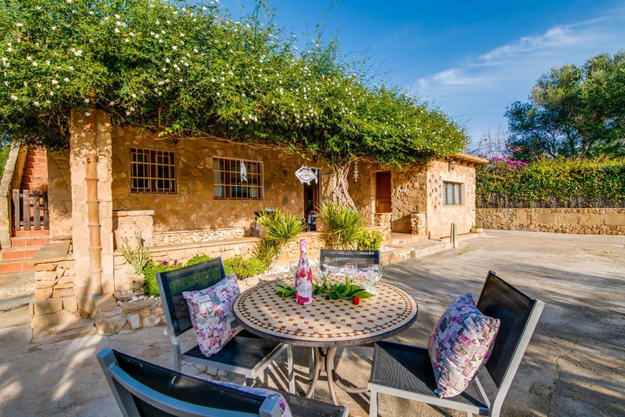 Ideal Property Mallorca - Sa Vinya Vella Alcúdia Exteriér fotografie