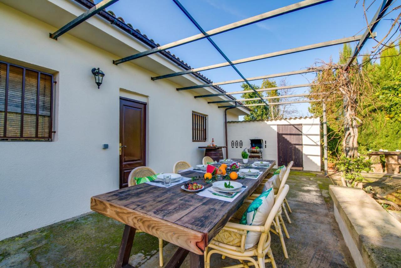 Ideal Property Mallorca - Sa Vinya Vella Alcúdia Exteriér fotografie